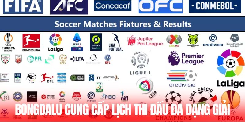 Bongdalu cung cấp lịch thi đấu đa dạng giải